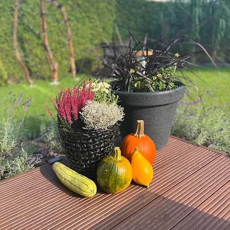 Apartment Silesia H125 *