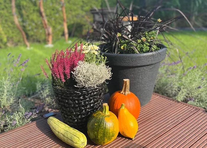 Apartament Silesia H125 *